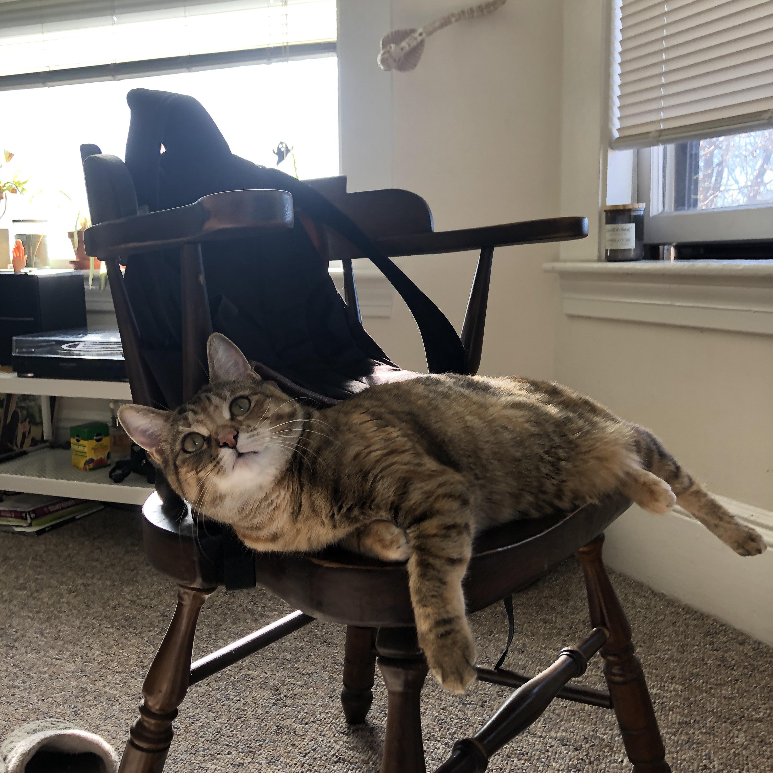 外援引入没有针对性岗位设计,外援引入没有针对性岗位设计怎么办