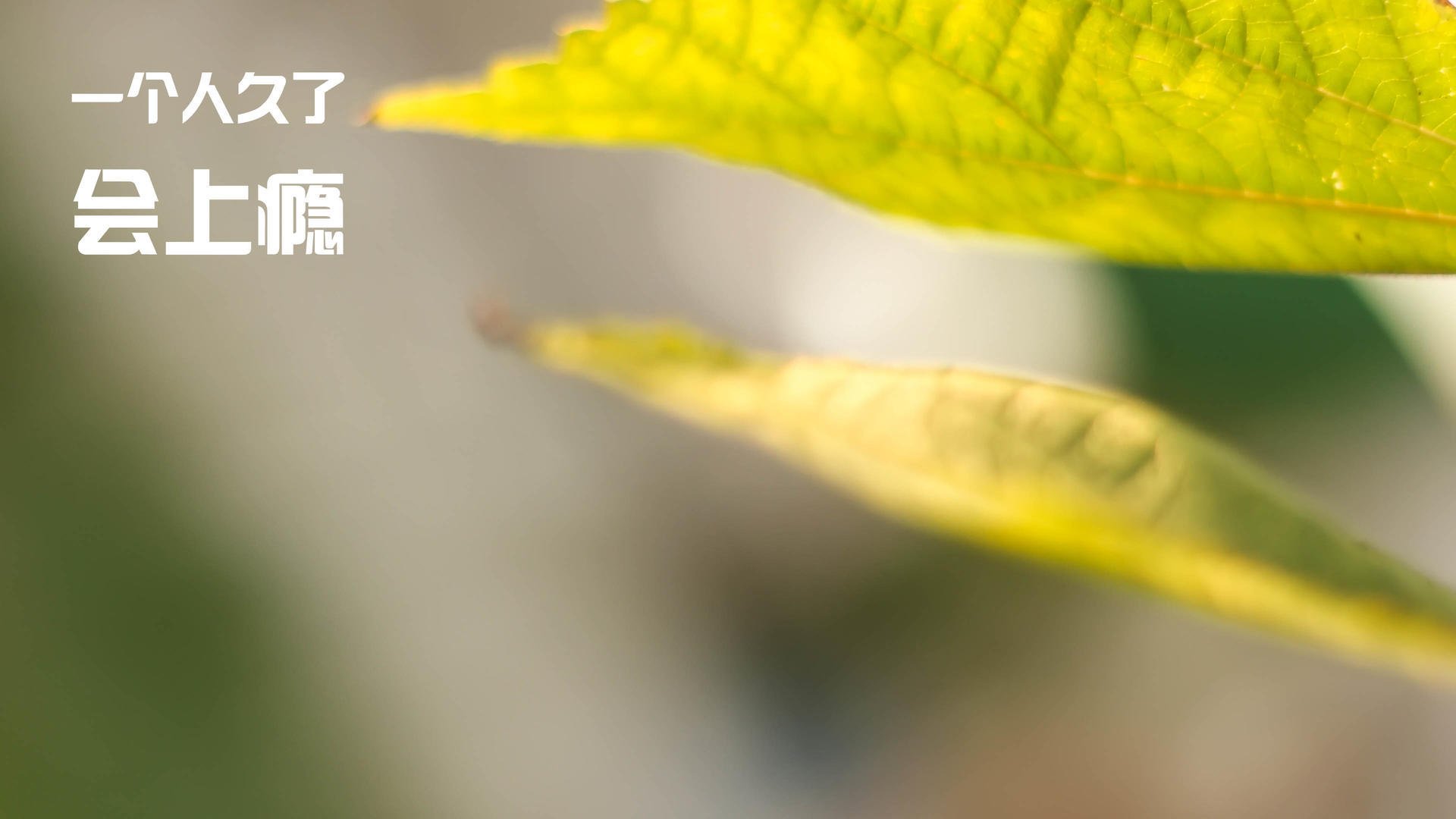 开云体育app官网-尼斯稳定传控体系有效拖慢比赛节奏