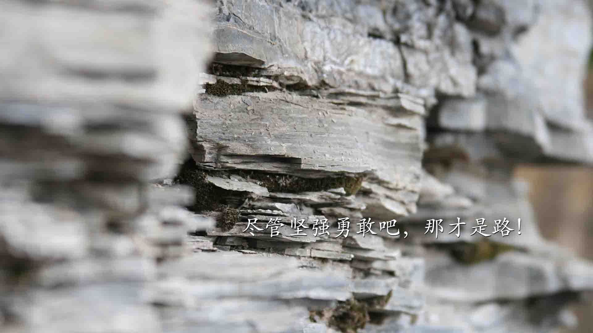 “马科斯·梅特罗的高速突破与巧妙传球，成就阿根廷美洲狮队的战术深度”