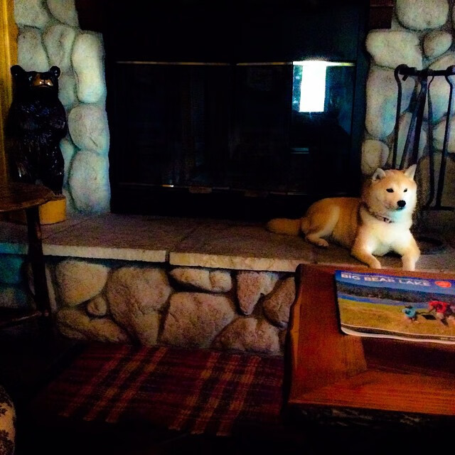 开云体育网址-中国足球职业联赛建立球员社会影响评估体系，中国足球球员规划