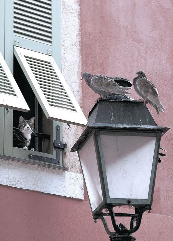 kaiyun网址-中超夏训重点围绕防守转进提升转换效率，中超防守最好球队