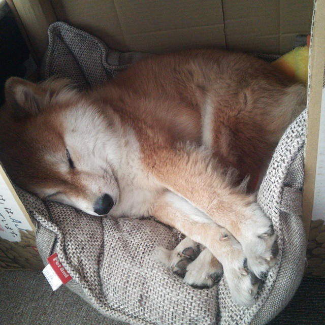 开云体育官网登入-冠军争夺进入白热化阶段，积分榜形势紧张，冠军顺序