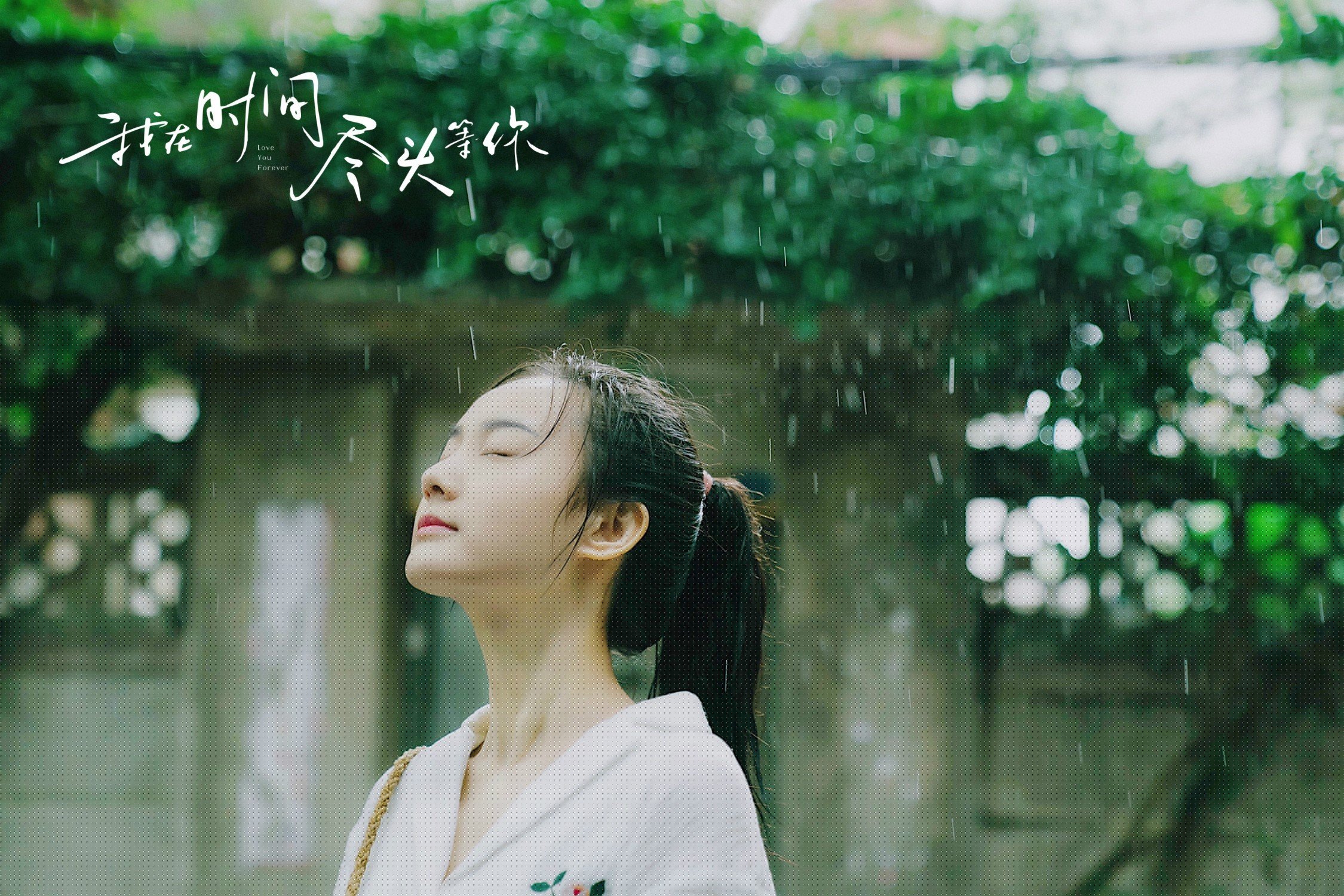 卡特的精准踢球与强大心态帮助全黑队击败最强对手,卡特 球星