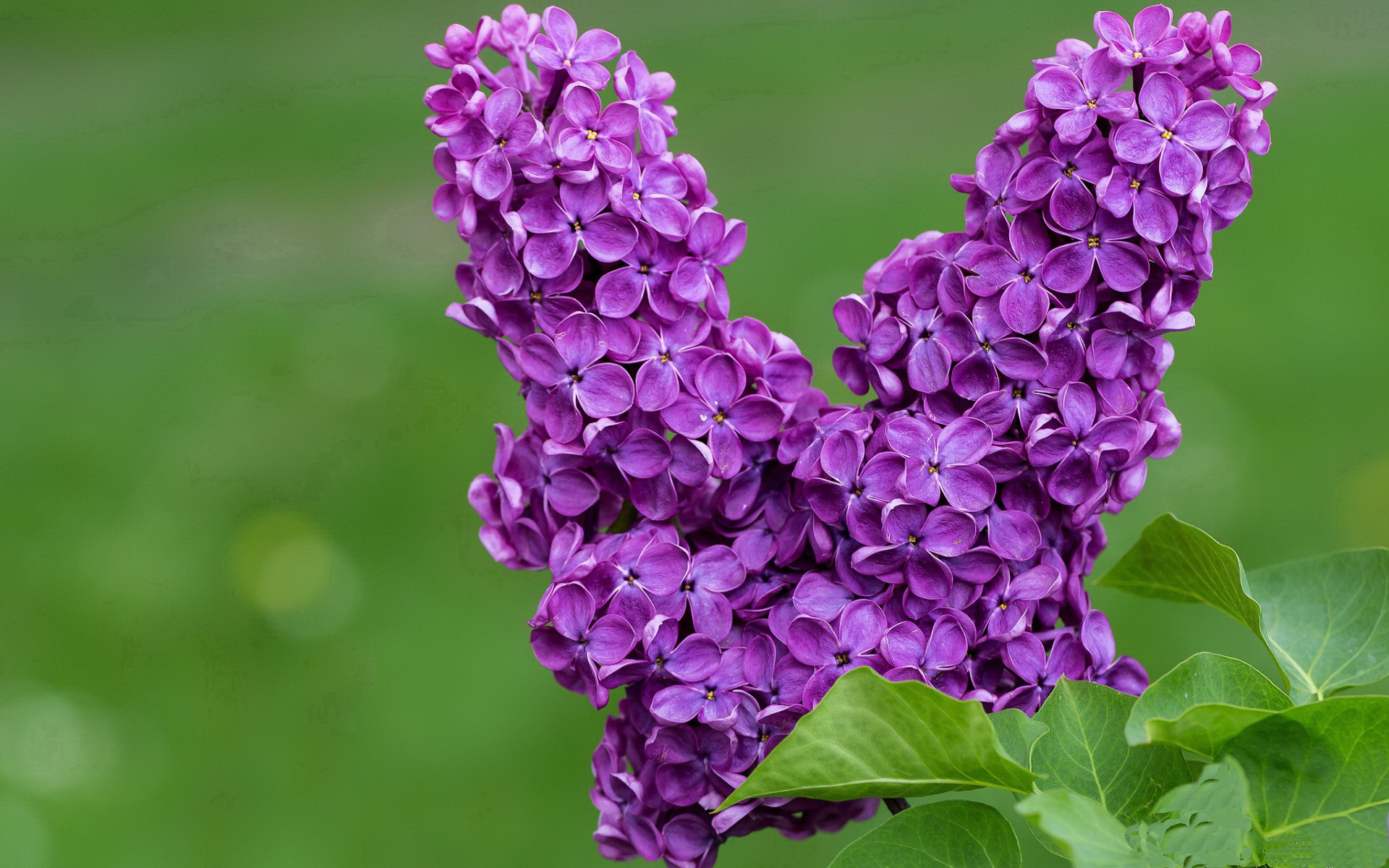 开云体育登录-美洲杯耀眼明星：精彩突破不断激动全球！，美洲杯好看